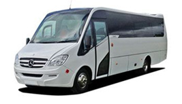 Mini Coach Transportation Orlando
